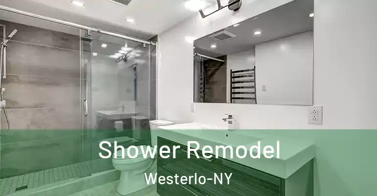 inner Bathroom imggen Shower Remodel Westerlo-NY