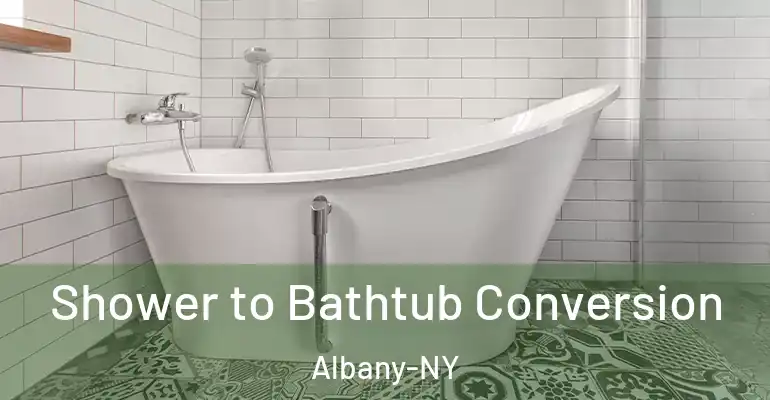 inner Bathroom imggen Shower to Bathtub Conversion Albany-NY