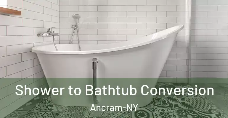 inner Bathroom imggen Shower to Bathtub Conversion Ancram-NY