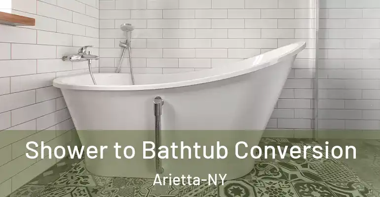 inner Bathroom imggen Shower to Bathtub Conversion Arietta-NY