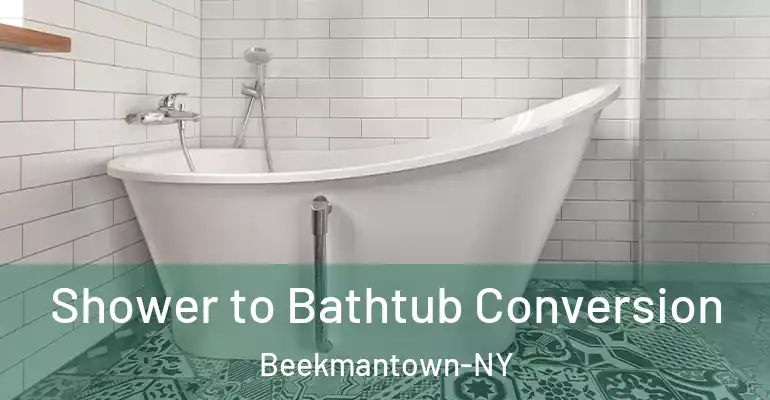 inner Bathroom imggen Shower to Bathtub Conversion Beekmantown-NY