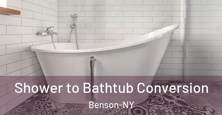 inner Bathroom imggen Shower to Bathtub Conversion Benson-NY