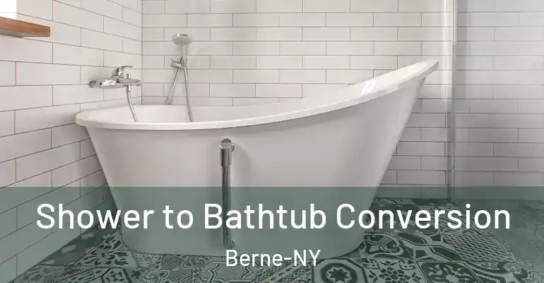 inner Bathroom imggen Shower to Bathtub Conversion Berne-NY