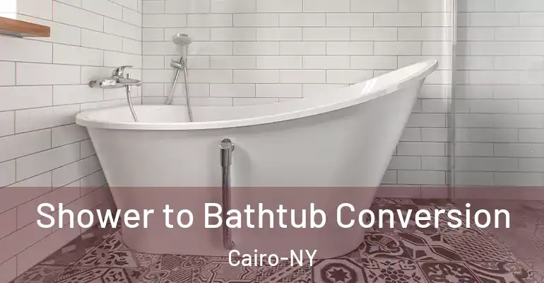 inner Bathroom imggen Shower to Bathtub Conversion Cairo-NY