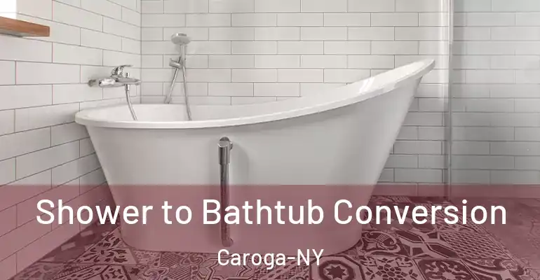 inner Bathroom imggen Shower to Bathtub Conversion Caroga-NY