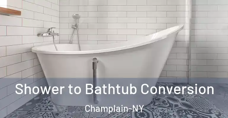 inner Bathroom imggen Shower to Bathtub Conversion Champlain-NY