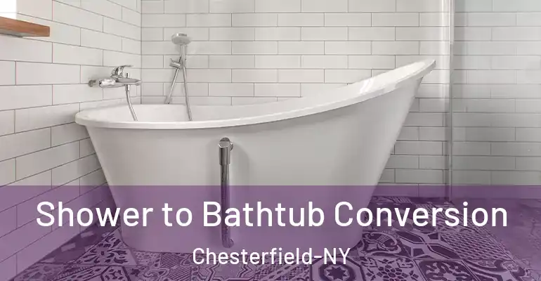 inner Bathroom imggen Shower to Bathtub Conversion Chesterfield-NY