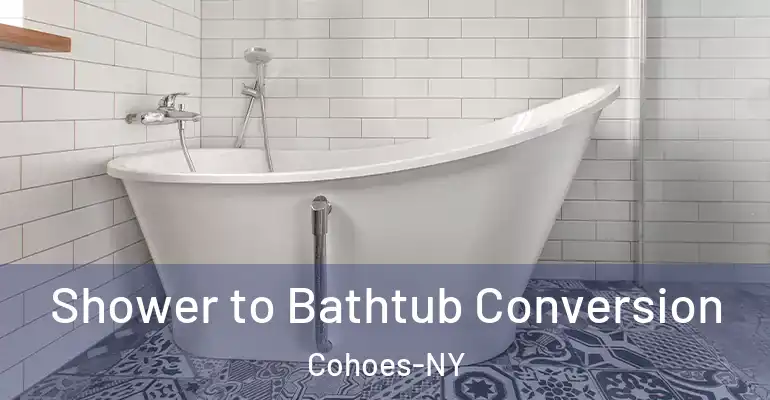 inner Bathroom imggen Shower to Bathtub Conversion Cohoes-NY