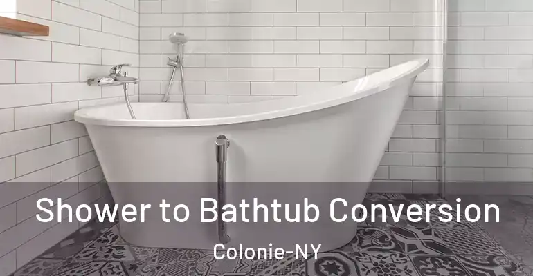 inner Bathroom imggen Shower to Bathtub Conversion Colonie-NY