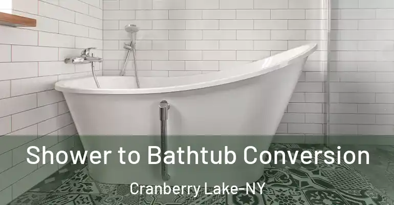 inner Bathroom imggen Shower to Bathtub Conversion Cranberry Lake-NY
