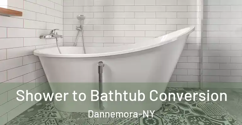 inner Bathroom imggen Shower to Bathtub Conversion Dannemora-NY