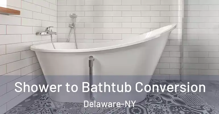 inner Bathroom imggen Shower to Bathtub Conversion Delaware-NY