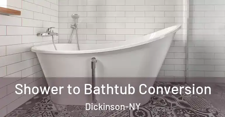 inner Bathroom imggen Shower to Bathtub Conversion Dickinson-NY