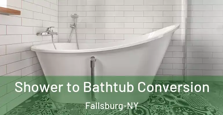 inner Bathroom imggen Shower to Bathtub Conversion Fallsburg-NY