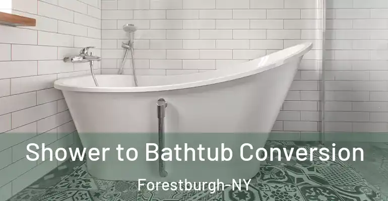 inner Bathroom imggen Shower to Bathtub Conversion Forestburgh-NY