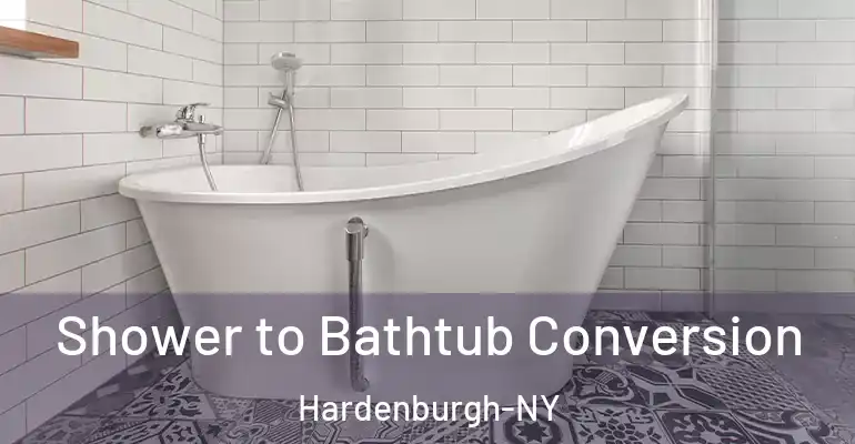 inner Bathroom imggen Shower to Bathtub Conversion Hardenburgh-NY