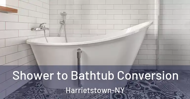 inner Bathroom imggen Shower to Bathtub Conversion Harrietstown-NY