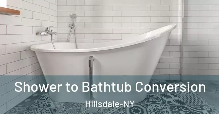 inner Bathroom imggen Shower to Bathtub Conversion Hillsdale-NY