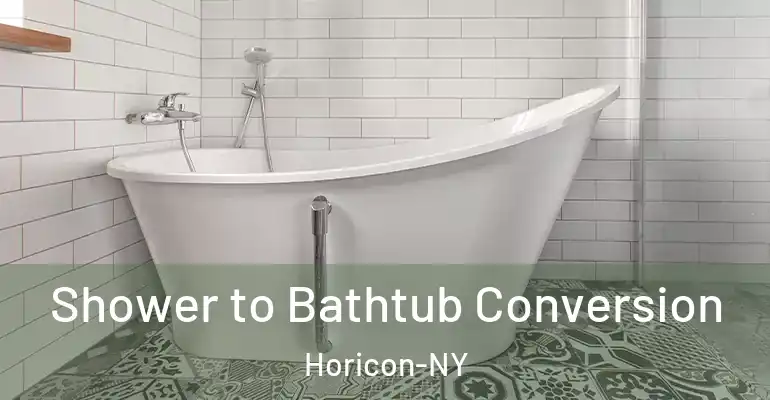 inner Bathroom imggen Shower to Bathtub Conversion Horicon-NY