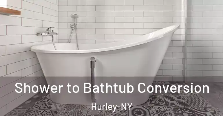 inner Bathroom imggen Shower to Bathtub Conversion Hurley-NY