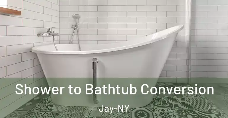 inner Bathroom imggen Shower to Bathtub Conversion Jay-NY