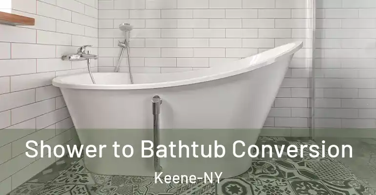 inner Bathroom imggen Shower to Bathtub Conversion Keene-NY