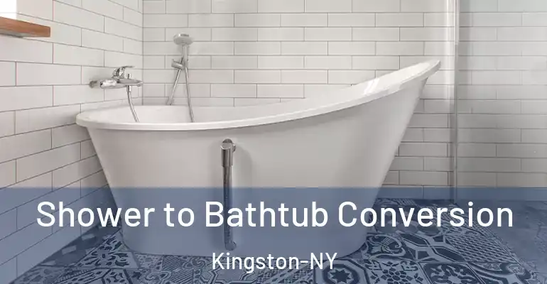inner Bathroom imggen Shower to Bathtub Conversion Kingston-NY