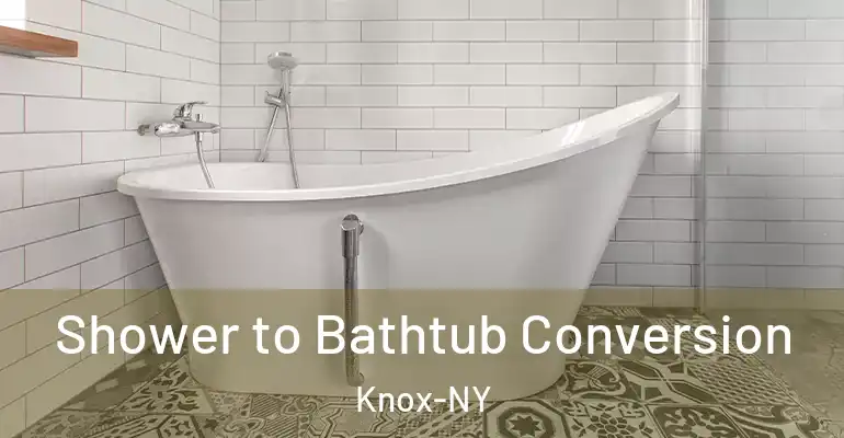 inner Bathroom imggen Shower to Bathtub Conversion Knox-NY