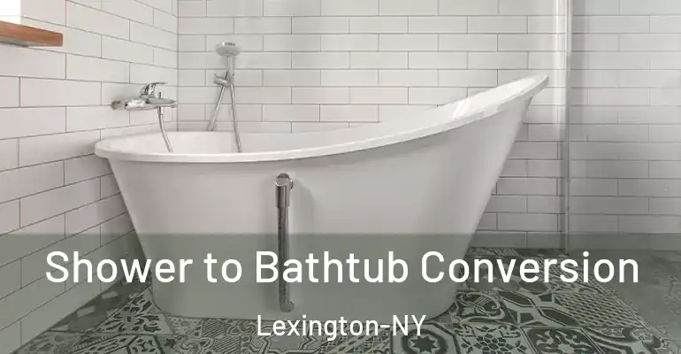 inner Bathroom imggen Shower to Bathtub Conversion Lexington-NY
