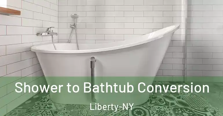 inner Bathroom imggen Shower to Bathtub Conversion Liberty-NY