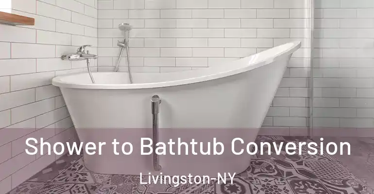 inner Bathroom imggen Shower to Bathtub Conversion Livingston-NY