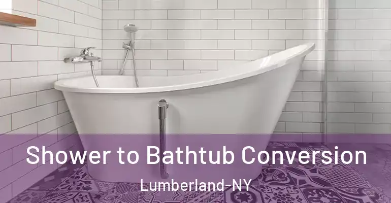 inner Bathroom imggen Shower to Bathtub Conversion Lumberland-NY