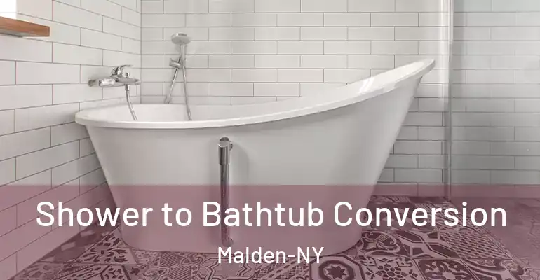 inner Bathroom imggen Shower to Bathtub Conversion Malden-NY