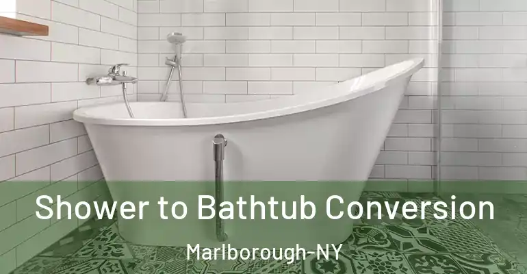 inner Bathroom imggen Shower to Bathtub Conversion Marlborough-NY