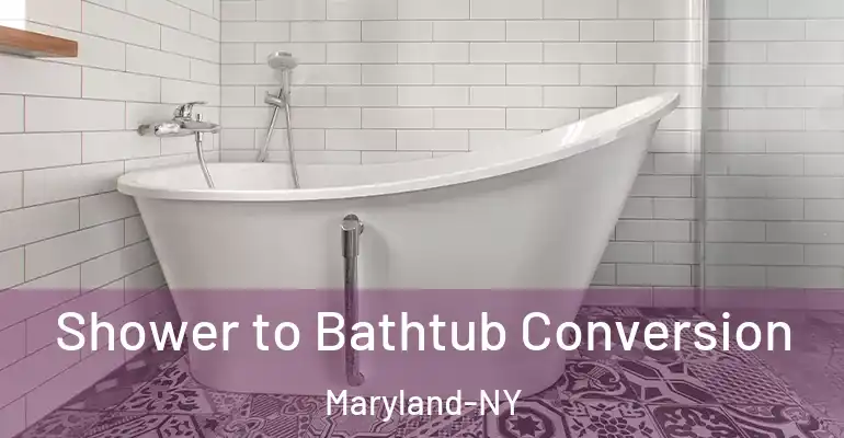 inner Bathroom imggen Shower to Bathtub Conversion Maryland-NY