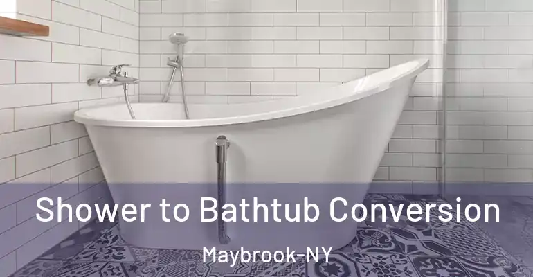 inner Bathroom imggen Shower to Bathtub Conversion Maybrook-NY