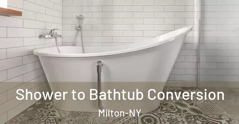inner Bathroom imggen Shower to Bathtub Conversion Milton-NY