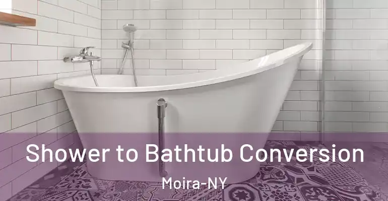 inner Bathroom imggen Shower to Bathtub Conversion Moira-NY
