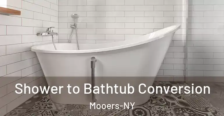 inner Bathroom imggen Shower to Bathtub Conversion Mooers-NY