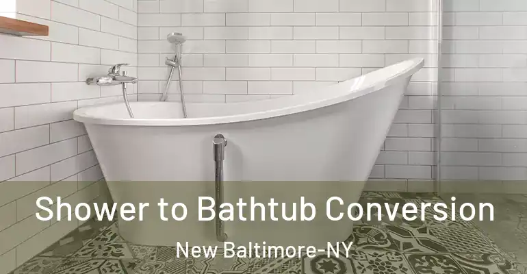inner Bathroom imggen Shower to Bathtub Conversion New Baltimore-NY