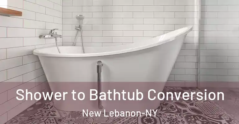 inner Bathroom imggen Shower to Bathtub Conversion New Lebanon-NY