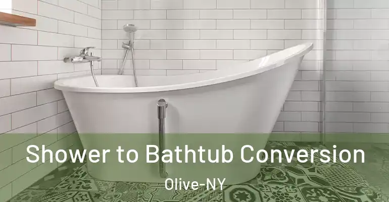 inner Bathroom imggen Shower to Bathtub Conversion Olive-NY