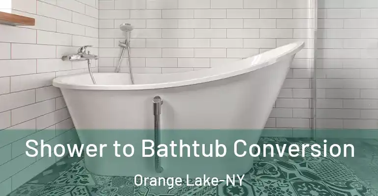 inner Bathroom imggen Shower to Bathtub Conversion Orange Lake-NY