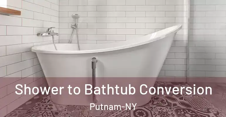 inner Bathroom imggen Shower to Bathtub Conversion Putnam-NY
