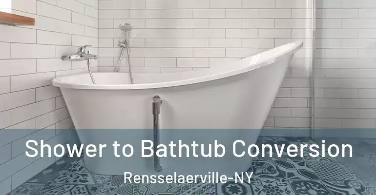 inner Bathroom imggen Shower to Bathtub Conversion Rensselaerville-NY