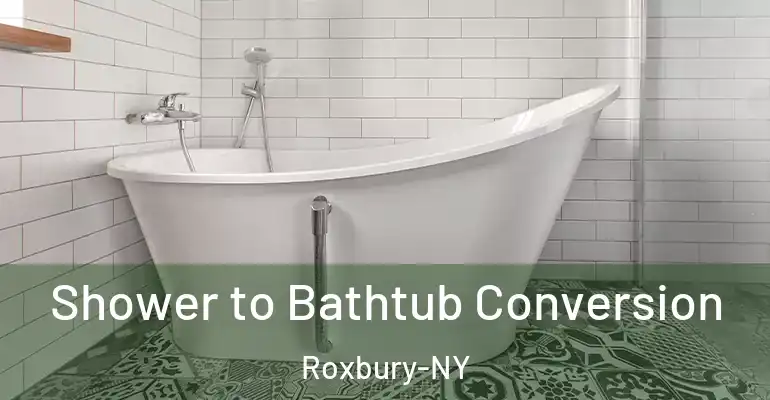 inner Bathroom imggen Shower to Bathtub Conversion Roxbury-NY