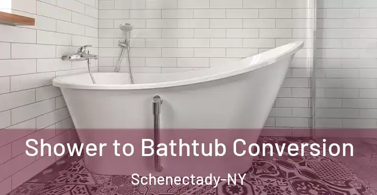 inner Bathroom imggen Shower to Bathtub Conversion Schenectady-NY
