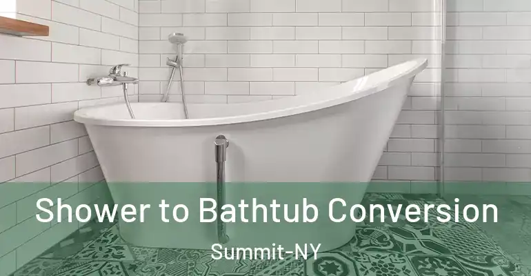 inner Bathroom imggen Shower to Bathtub Conversion Summit-NY
