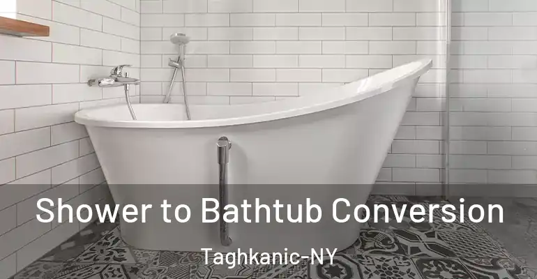inner Bathroom imggen Shower to Bathtub Conversion Taghkanic-NY