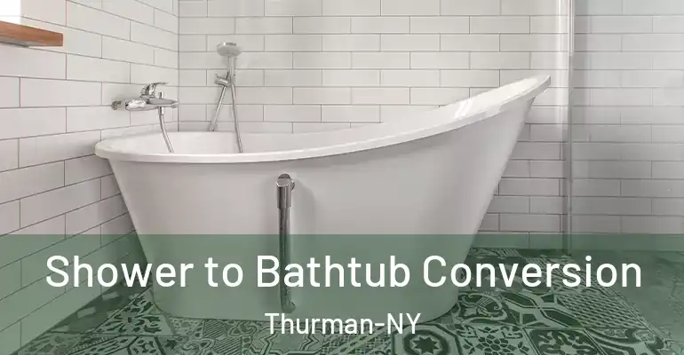 inner Bathroom imggen Shower to Bathtub Conversion Thurman-NY